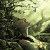1298.gif